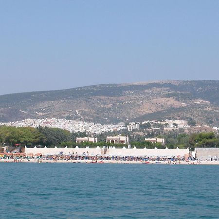 Olive&Sea Villa-Olive Mattinata Zewnętrze zdjęcie