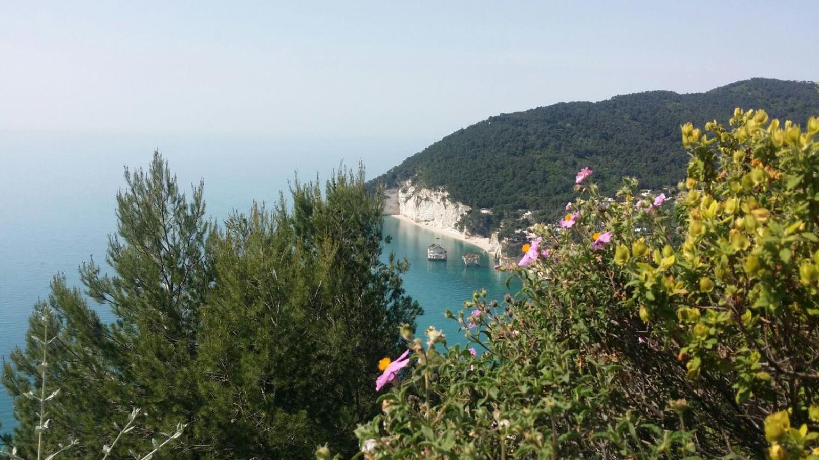 Olive&Sea Villa-Olive Mattinata Zewnętrze zdjęcie