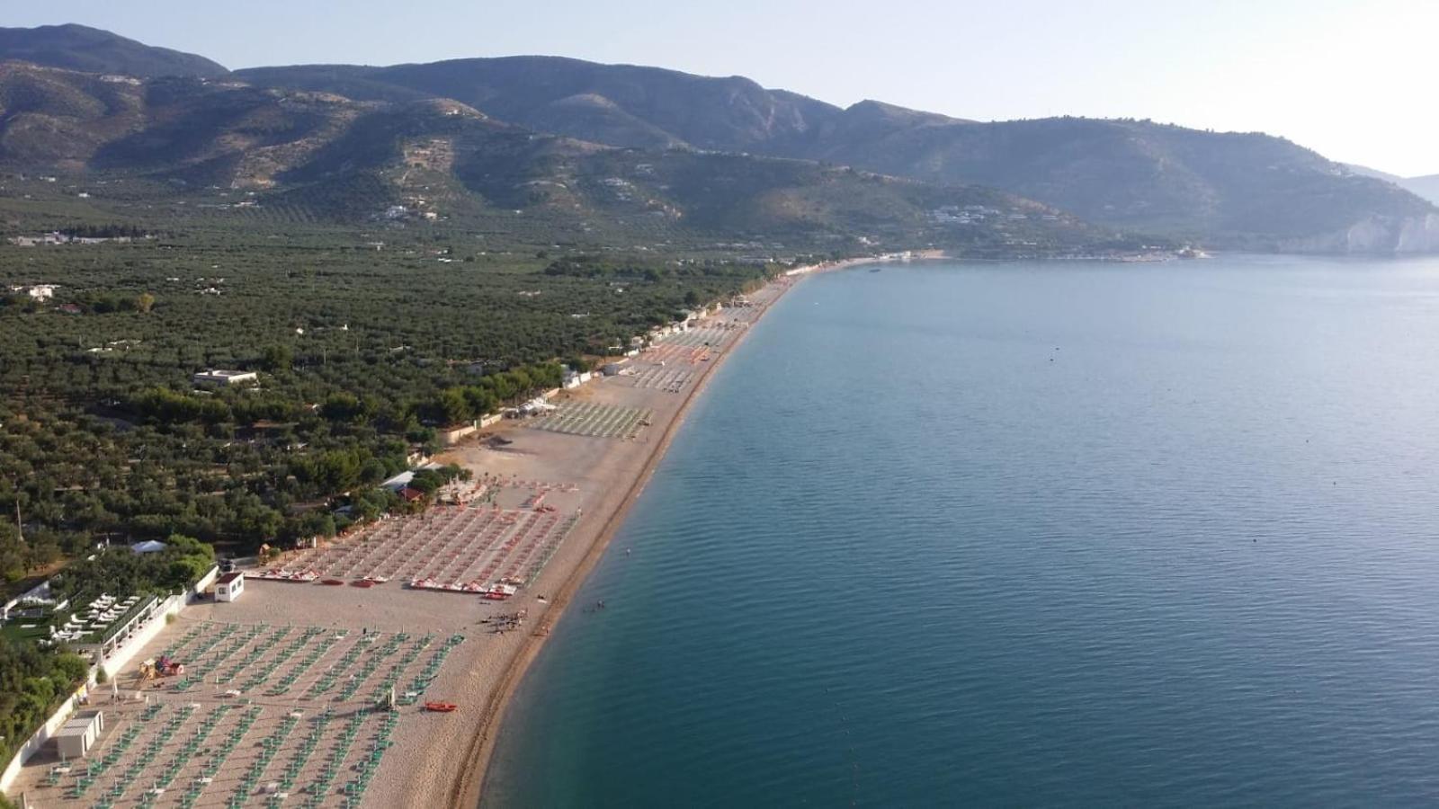 Olive&Sea Villa-Olive Mattinata Zewnętrze zdjęcie