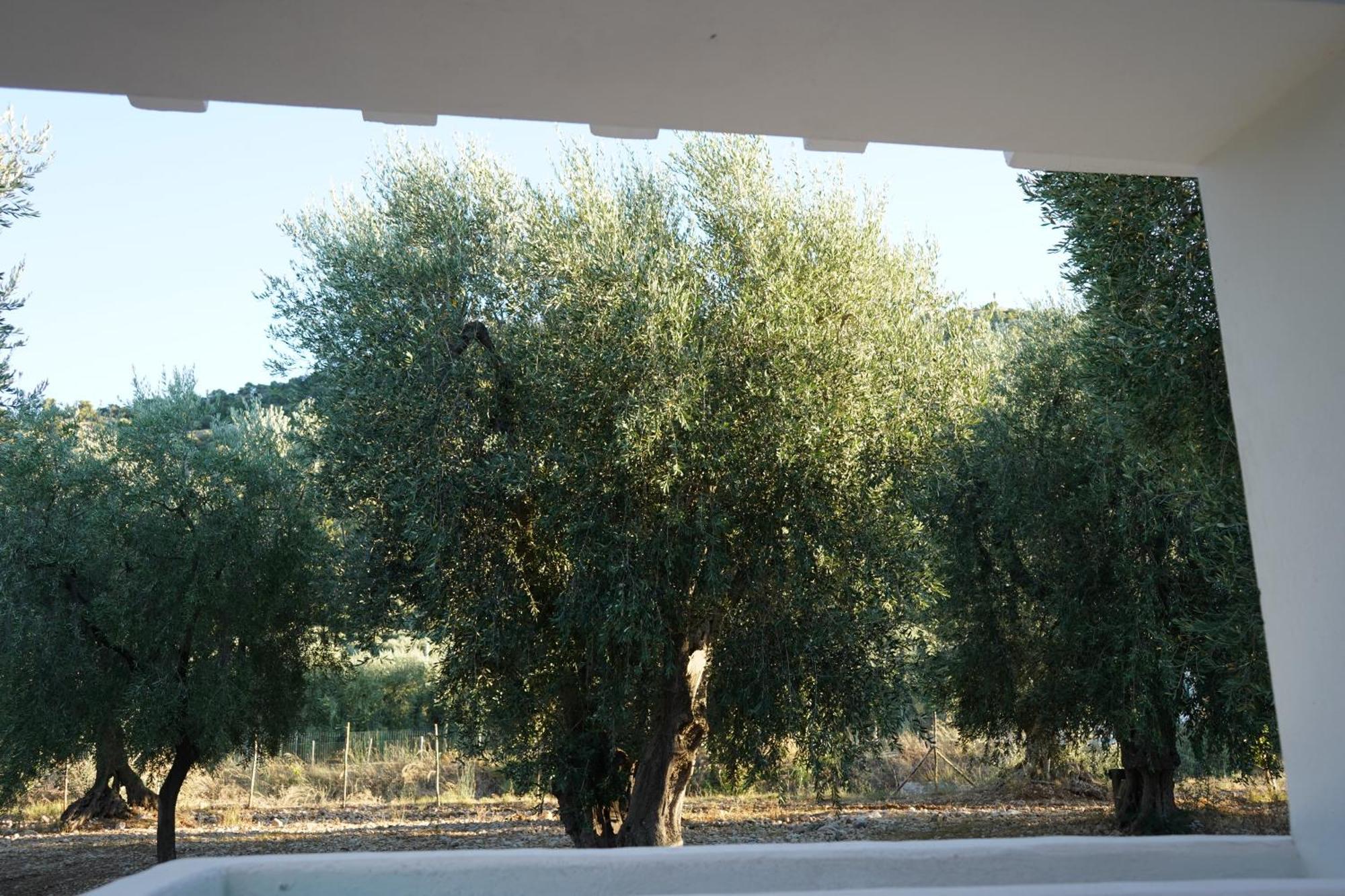 Olive&Sea Villa-Olive Mattinata Zewnętrze zdjęcie