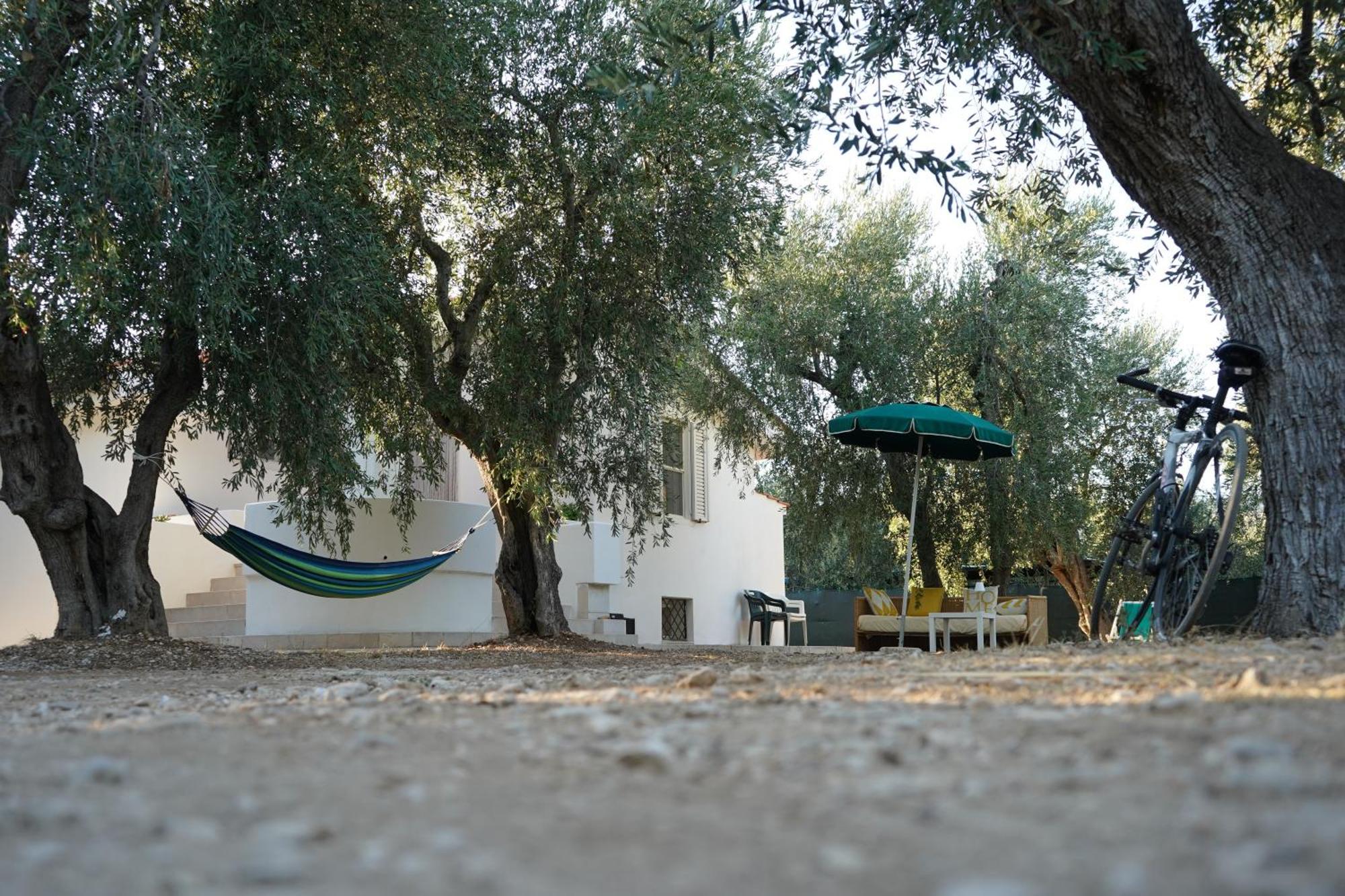 Olive&Sea Villa-Olive Mattinata Zewnętrze zdjęcie