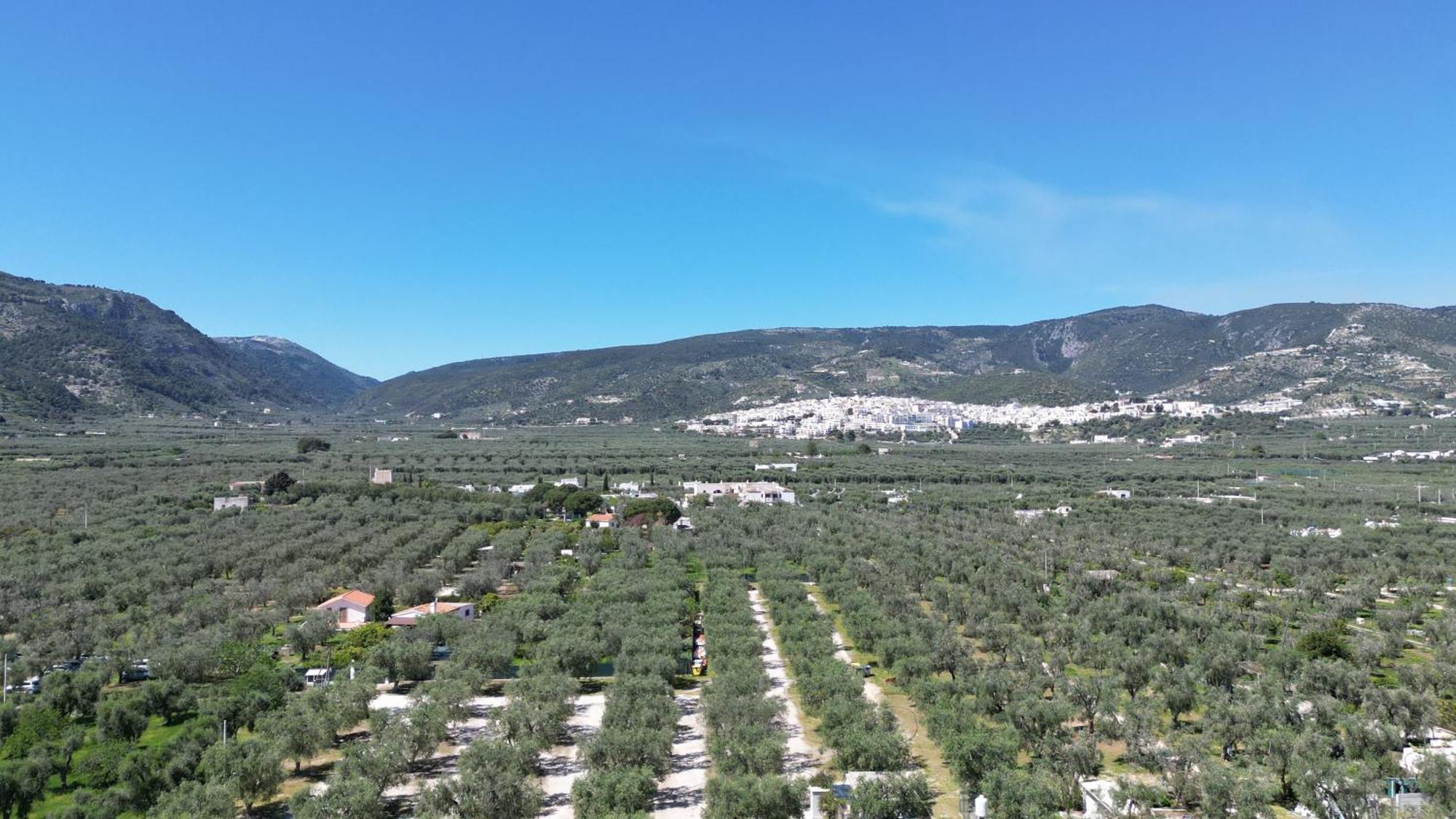 Olive&Sea Villa-Olive Mattinata Zewnętrze zdjęcie