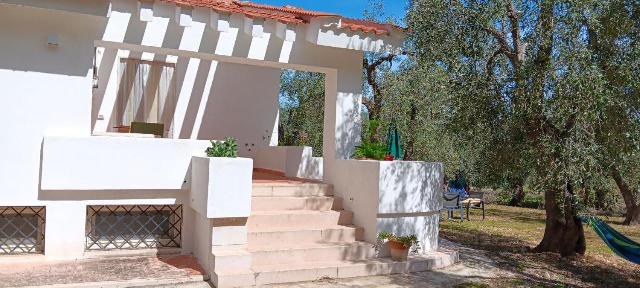 Olive&Sea Villa-Olive Mattinata Zewnętrze zdjęcie