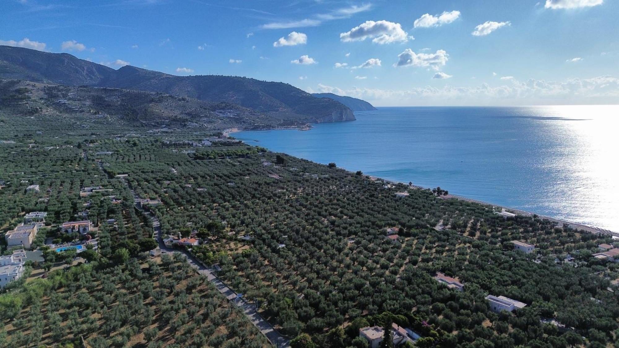 Olive&Sea Villa-Olive Mattinata Zewnętrze zdjęcie